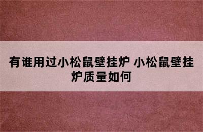 有谁用过小松鼠壁挂炉 小松鼠壁挂炉质量如何